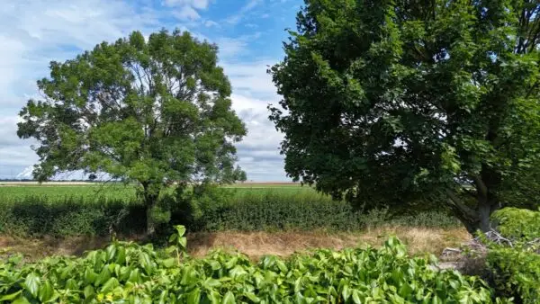Ausblick Felder