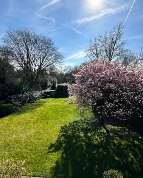 Gartenansicht I